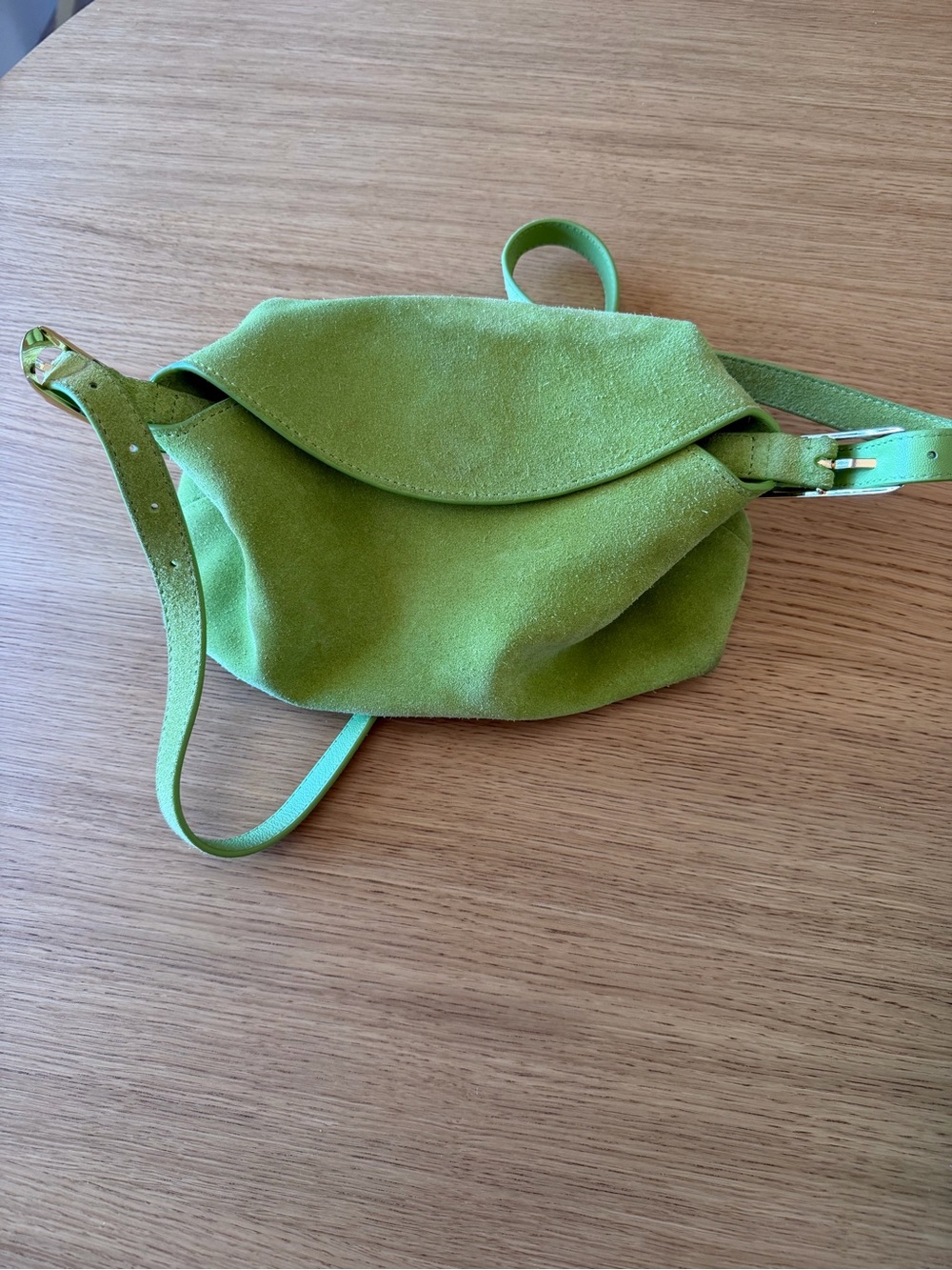J. Crew Berkley Small Shoulder Bag in Suede “Rich Pear”